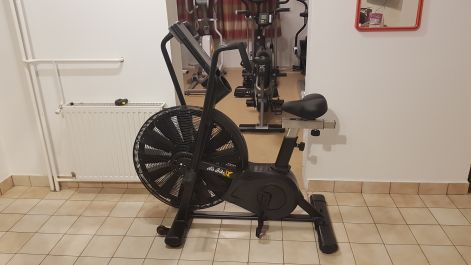 schwinn_ad8_fele_1.jpg