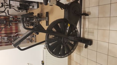 schwinn_ad8_fele_2.jpg